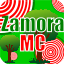 ZamoraMC Network